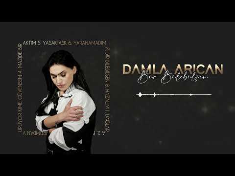 Damla Arıcan Bir Bilebilsen (Official udio) 2025