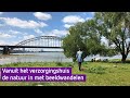 Arnold (96) gaat regelmatig 'beeldwandelen' om toch van de natuur te genieten