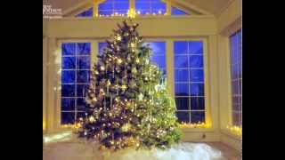 So This Is Love (chapter 1 part 1/2)