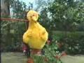 Sesame Street Big Bird Sings A Verbal Noun Song