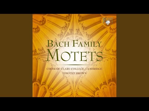 Unser Leben ist ein Schatten