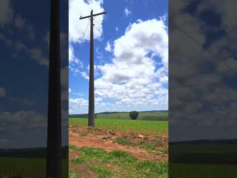 na estrada de Alfenas minas Gerais Brasil