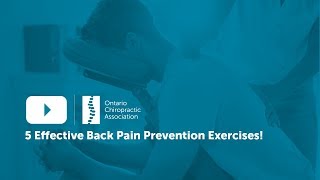 5 Back Pain Prevention Exercises