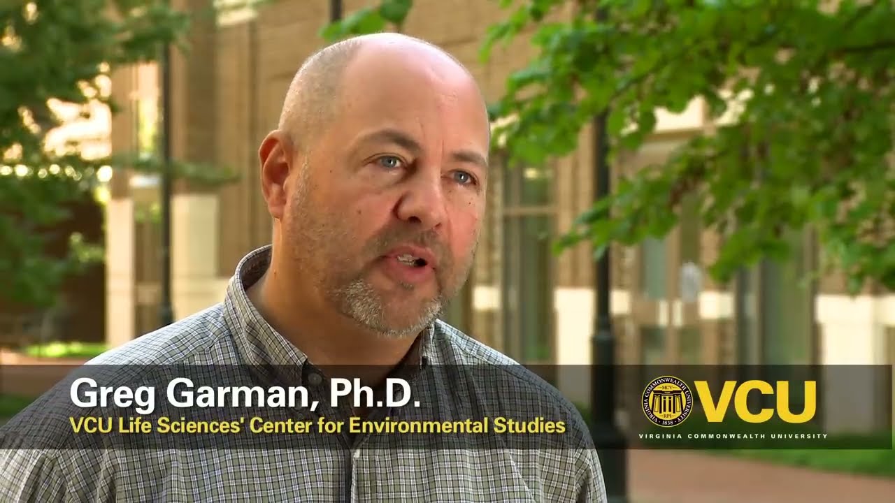 Saving The Fish That Saved Jamestown