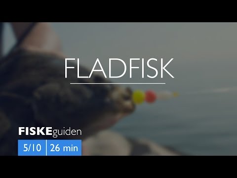 Fladfisk med Gordon P. Henriksen