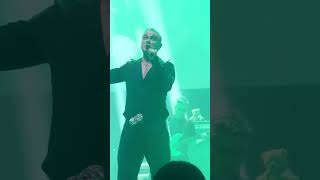 Morrissey - Shoplifter of the World Unite