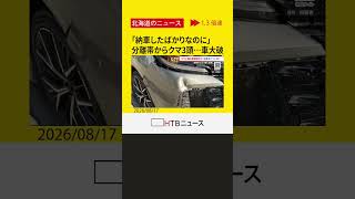 「もう避けられない」分離帯からクマ3頭飛び出し新車大破…修理費150万円超　夜の運転「目が光ったら注意」