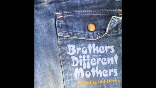 The Brothers With Different Mothers - Rocktopussy