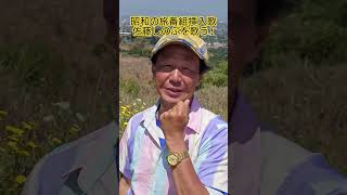 Download lagu #昭和歌謡 #旅番組挿入歌 #佐藤しのぶ #阿久悠 #三木たかし #ひとり旅 #旅の歌 #旅人 #懐メロ #想い出のメロディー#愛唱歌 #歌手 #オペラ歌手 #声楽家 #昭和歌謡カバー #アカペラ mp3