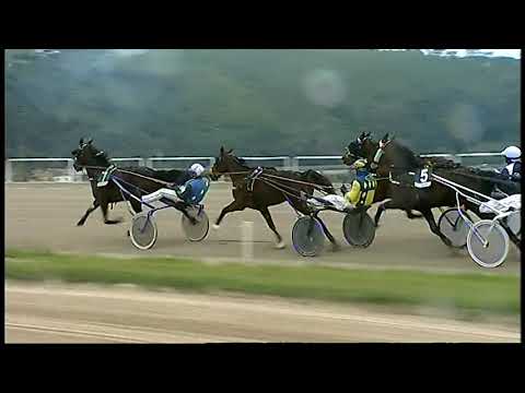 Napoli Trotto 19/03/2021 - 5ª corsa