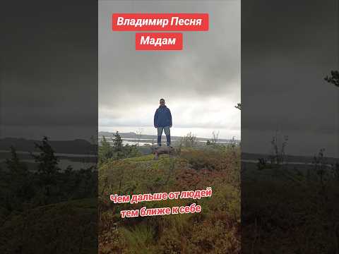Владимир Песня / Мадам #shortvideo #shorts #short