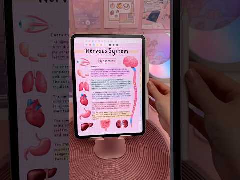 iPad note taking pink mode 🩷✏️ take notes with me | notability app | aesthetic digital notes | study