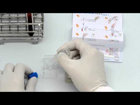 ALVEDIA QUICK TEST BT MOVIE