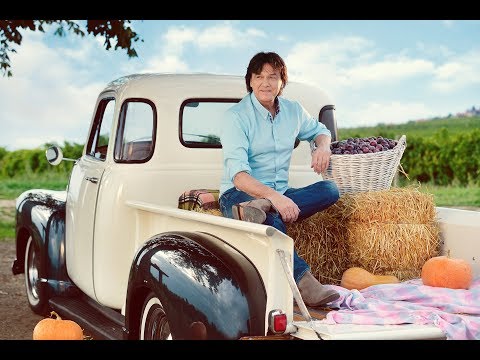 Zdravko Čolić - Šljive su rodile - (Official Video 2017)