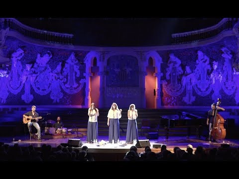 Les Anxovetes | Cànon a la mar - Palau de la Música