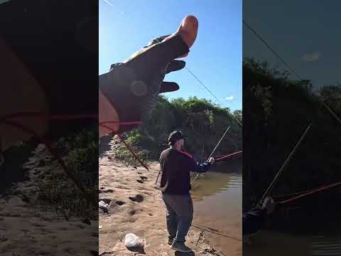 Pesca de Bagres y Bogas en el canal de los puestos, Tucumán #pesca #fishing #rio #argentina #fish