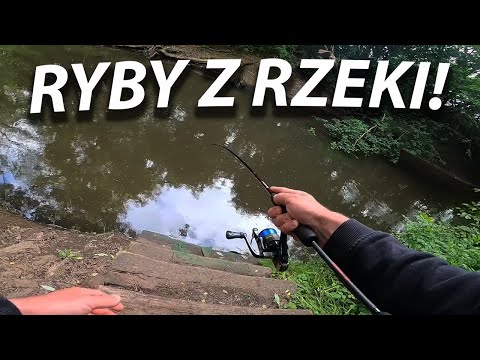 FISH FROM THE RIVER! RUNNING SPINNING!