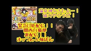 【白猫】ミナト＆柚ぽん　白猫3本勝負