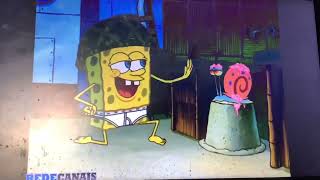 SpongeBob SquarePants = Shell Shocked