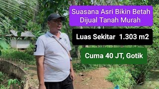 Download lagu Beautiful Atmosphere, Abundant Water, Cheap Land for Sale, 1,303 m2, Only 40 Million, Gothic mp3