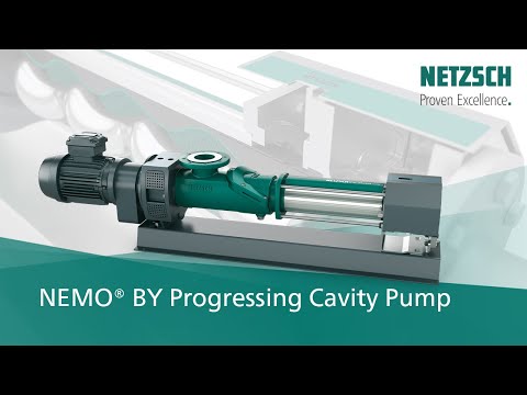 Paint Slurry Transfer Pumps