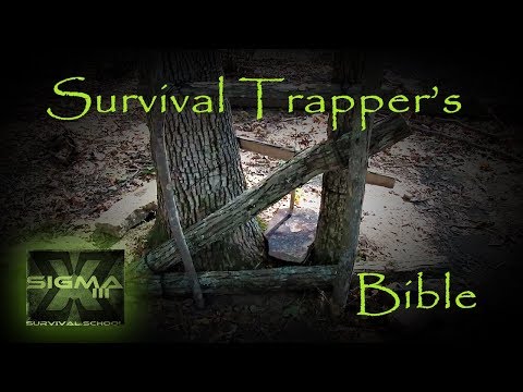 download lagu mp3 mp4 Scissor Deadfall Trap, download lagu Scissor Deadfall Trap gratis, unduh video klip Download Scissor Deadfall Trap Mp3 dan Mp4 Popular Gratis