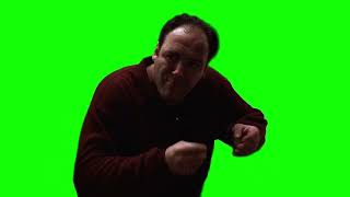 Tony Soprano “I can't find pussy anywhere” green screen