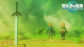 【ティアキン】マスターソードの手掛かり。コログの森・デクの樹様を救え！ #73【ゼルダの伝説ティアーズオブザキングダム】
