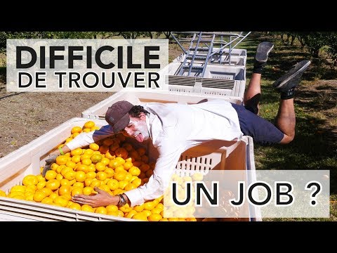 comment trouver travail