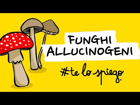 TUTTO QUELLO CHE DEVI SAPERE SUI FUNGHI ALLUCINOGENI E LA PSILOCIBINA | #TELOSPIEGO