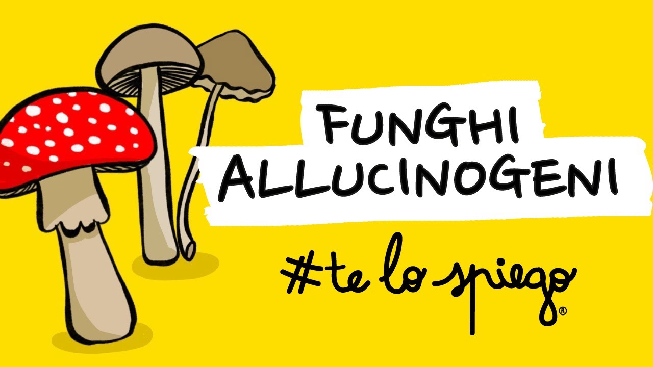 TUTTO QUELLO CHE DEVI SAPERE SUI FUNGHI ALLUCINOGENI E LA PSILOCIBINA | #TELOSPIEGO
