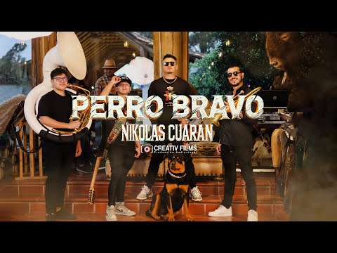 Nikolas Cuaran - Perro Bravo  (Video Oficial)
