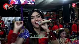Download lagu MEMORI BERKASIH DUET TEROMANTIS TUKANG SHOOTING (Ms.ARI) VS LEVI BERLIA SUPRA NADA REBORN 2019 mp3