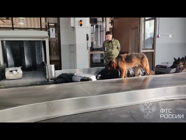 Контрабанду в 30 тысяч долларов пресекли таможенники в аэропорту Иркутска