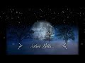 Silver Bells - Anne Murray