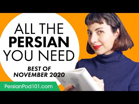 Your Monthly Dose of Persian - Best of November 2020