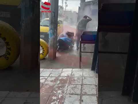 🐝 Pánico en Vallesther: ataque de abejas dejó varios afectados en Cúcuta #ustedqueopina