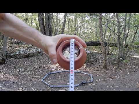 Metal detector REX Land Craft - Coins in pot