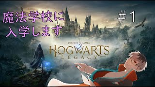 【ホグワーツ・レガシー】魔法学校に入学することになりました　＃１