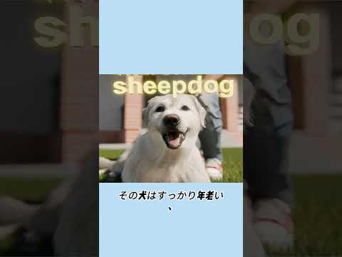 その子も私の家族です#事件