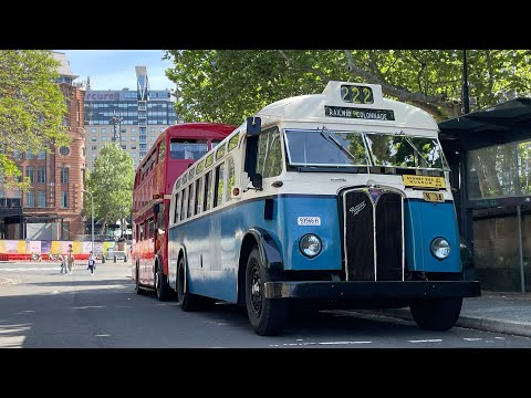 Transport Heritage Expo 2025: Route 222 aboard AEC 2878 | Sydney Bus Museum