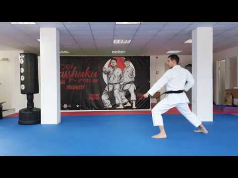 JKA Kihon Examination - 8th KYU - Yellow Belt