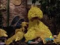 Sesame Street Episode 3797 Scene 8