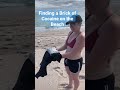 Finding a 1/2 Kilo of Coke on the Beach