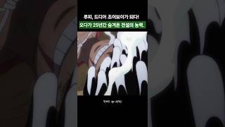 25년만에 조이보이가 되는 루피
