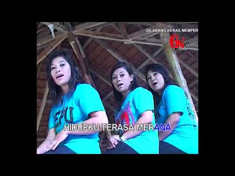 Trio Putri GNR - Mengapa