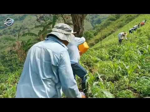 Prudencio Ramos Vida Campesina