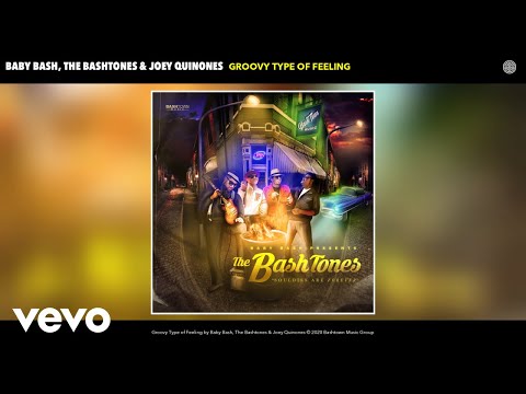 Baby Bash, The Bashtones, Joey Quinones - Groovy Type of Feeling (Audio)