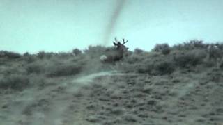 Deer hunter misses 5 times with BUCK FEVER!