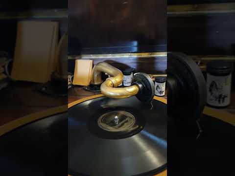 I Can't Give You Anything but Love - Meyer Davis Swanee Syncopators Brunswick Records #3938 1928